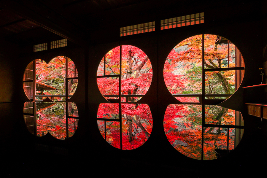 いろした工房 紅葉 灯籠 恋しく 